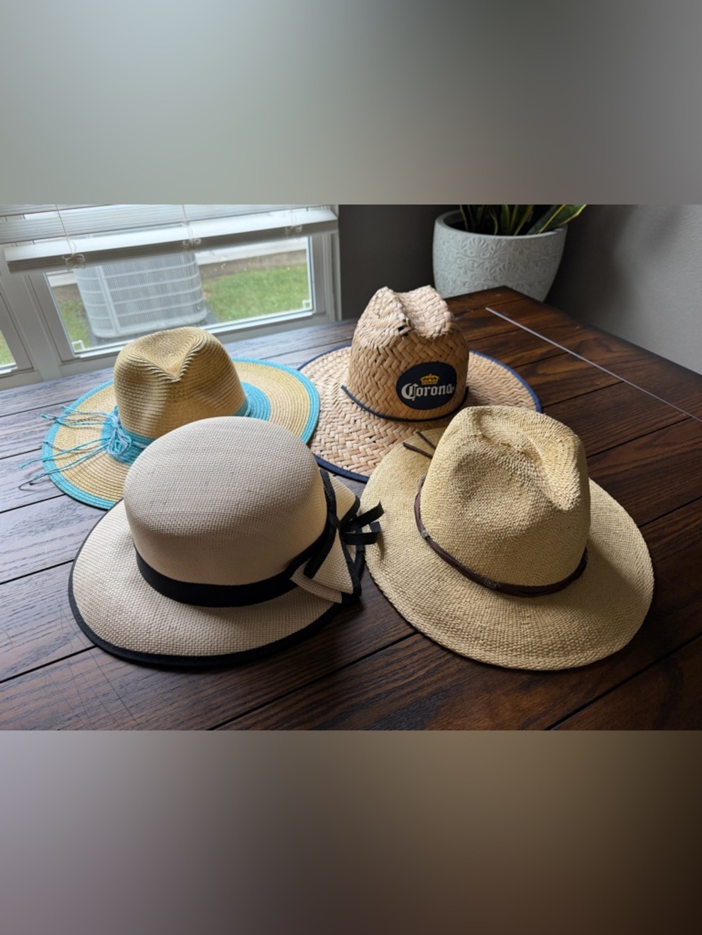 Assorted Straw Sun Hats with Corona Branded Sun Hat - Natural & Cream